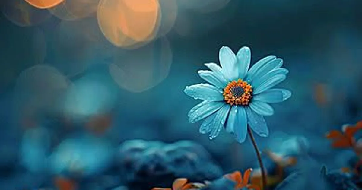 *ಮಾತು*