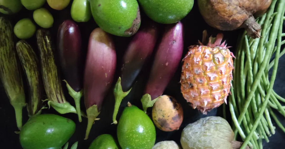 ನಮ್ಮ ಮನೆಯಲ್ಲಿ ಬಿಟ್ಟ ಹಣ್ಣು  ತರಕಾರಿಗಳು